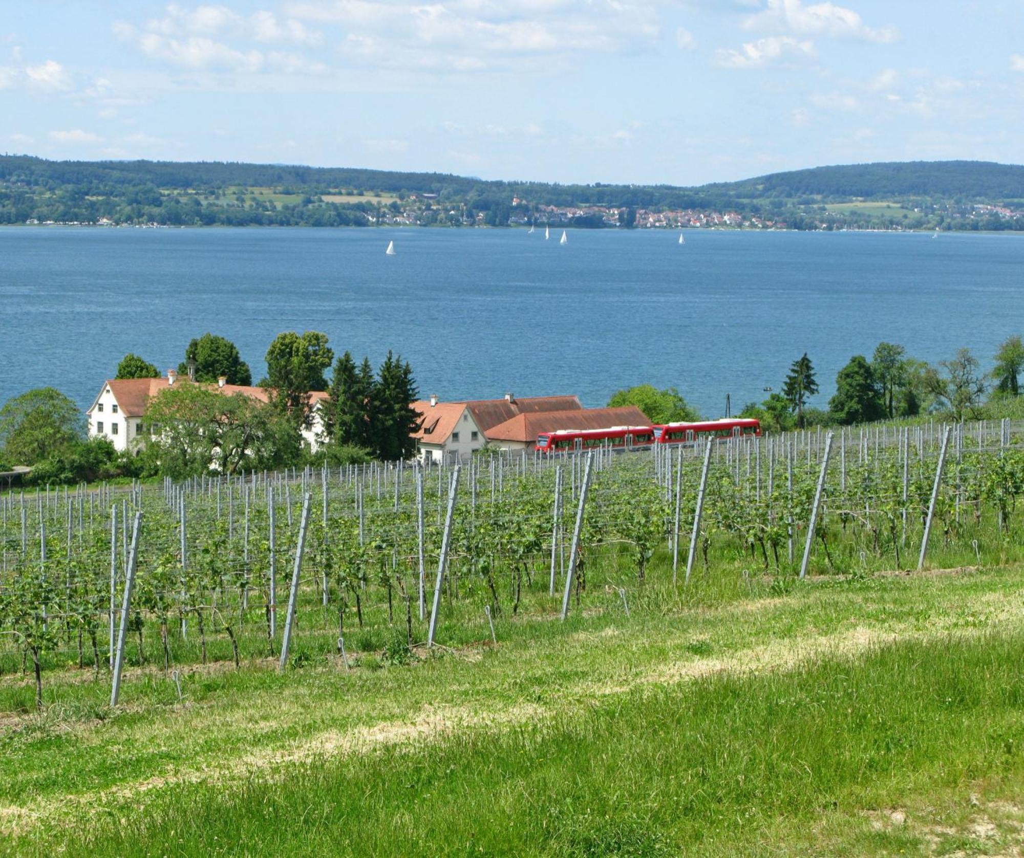 Ueberlinger Ferienidylle Apartment Uberlingen Bagian luar foto